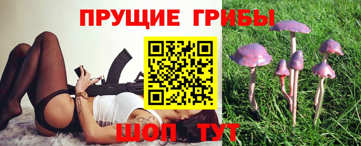 Галлюциногенные грибы Psilocybe Лыткарино