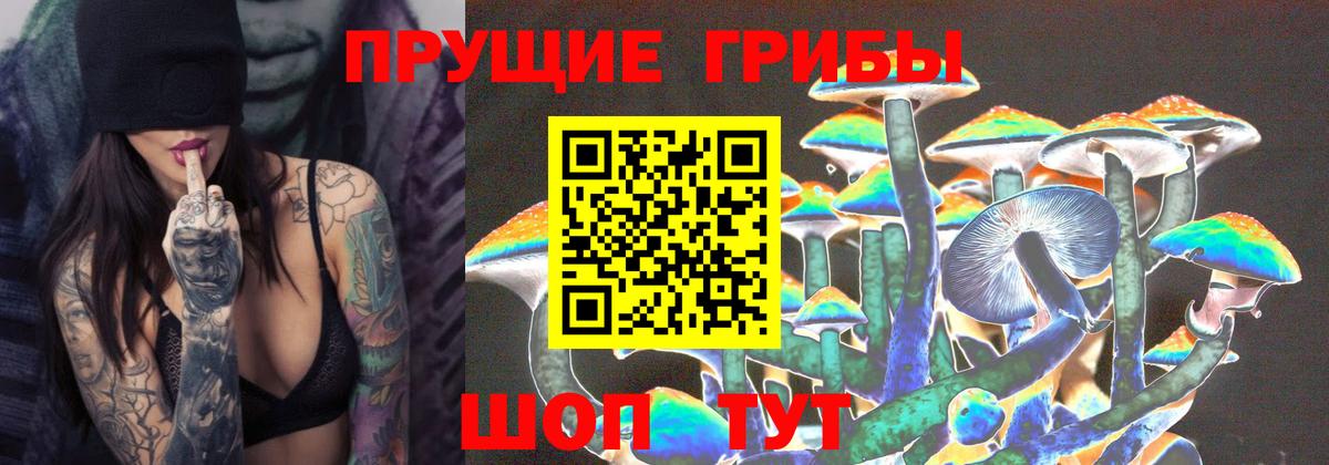 Псилоцибиновые грибы Cubensis  Вход с VPN  Галлюциногенные грибы Psilocybe  Лыткарино 